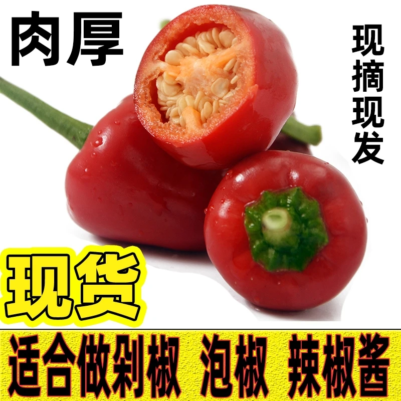 灯笼椒5斤新鲜红辣椒草莓椒 香辣做剁椒泡椒鲜海椒子弹头草莓辣椒