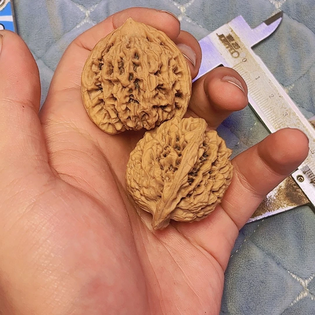 文玩核桃把件野生