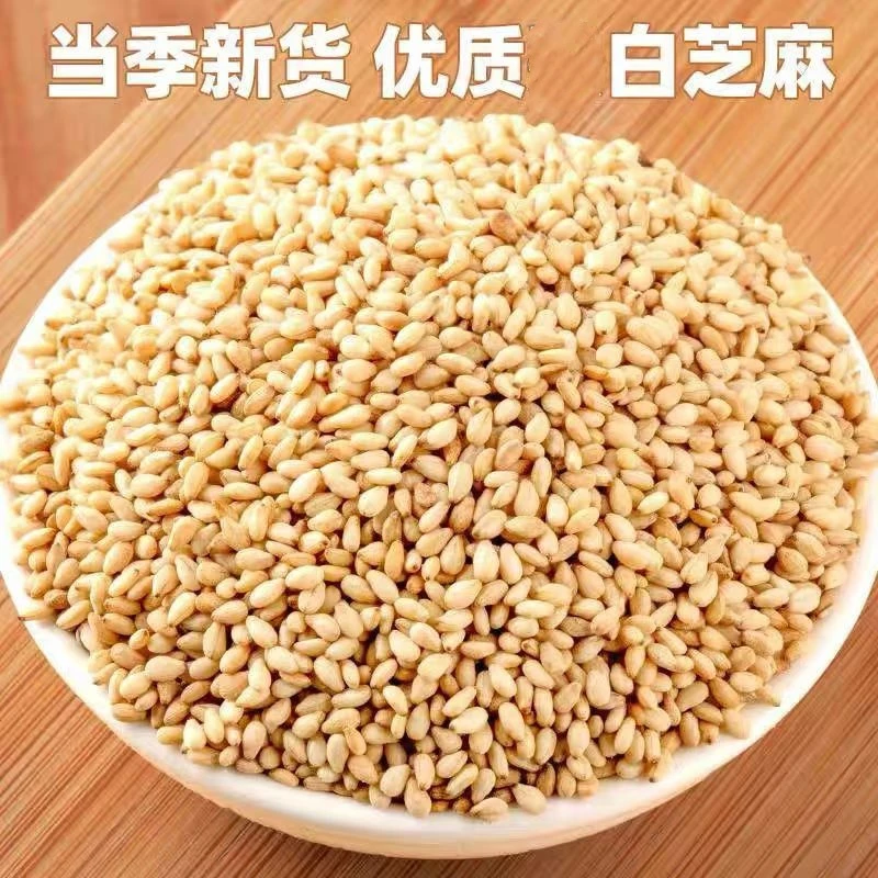 白芝麻带皮白芝麻生芝麻烧烤芝麻生芝麻芝麻仁干净无沙100g-5斤