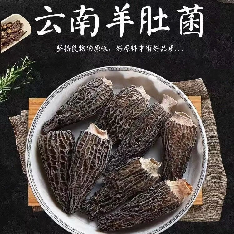 头茬羊肚菌当季新货羊肚菌干货当季羊肚菇新鲜美味菌菇炖汤煲汤