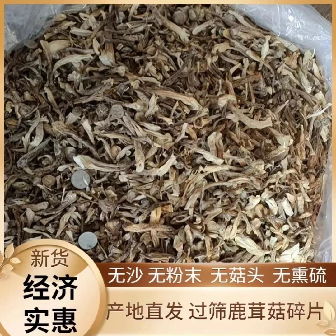 当季鹿茸菇碎干货小碎干净无沙鹿茸菌菇碎边角料熬汤馅料包饺子