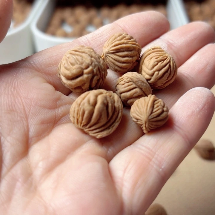 桃核吊坠秦岭龙文小金豆1.2尺20颗打孔