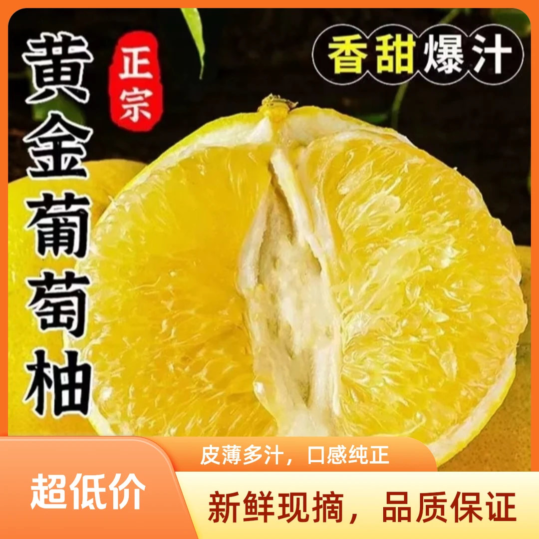【爱心助农】福建平和黄金葡萄柚当季新鲜水果爆汁榨汁清甜