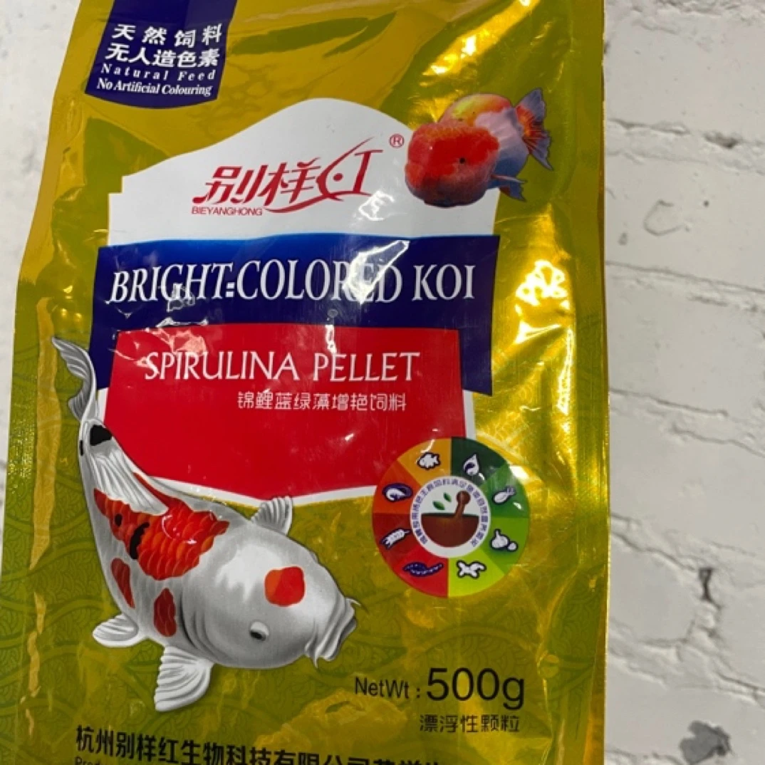锦鲤蓝绿藻赠艳饲料 粉丝福利