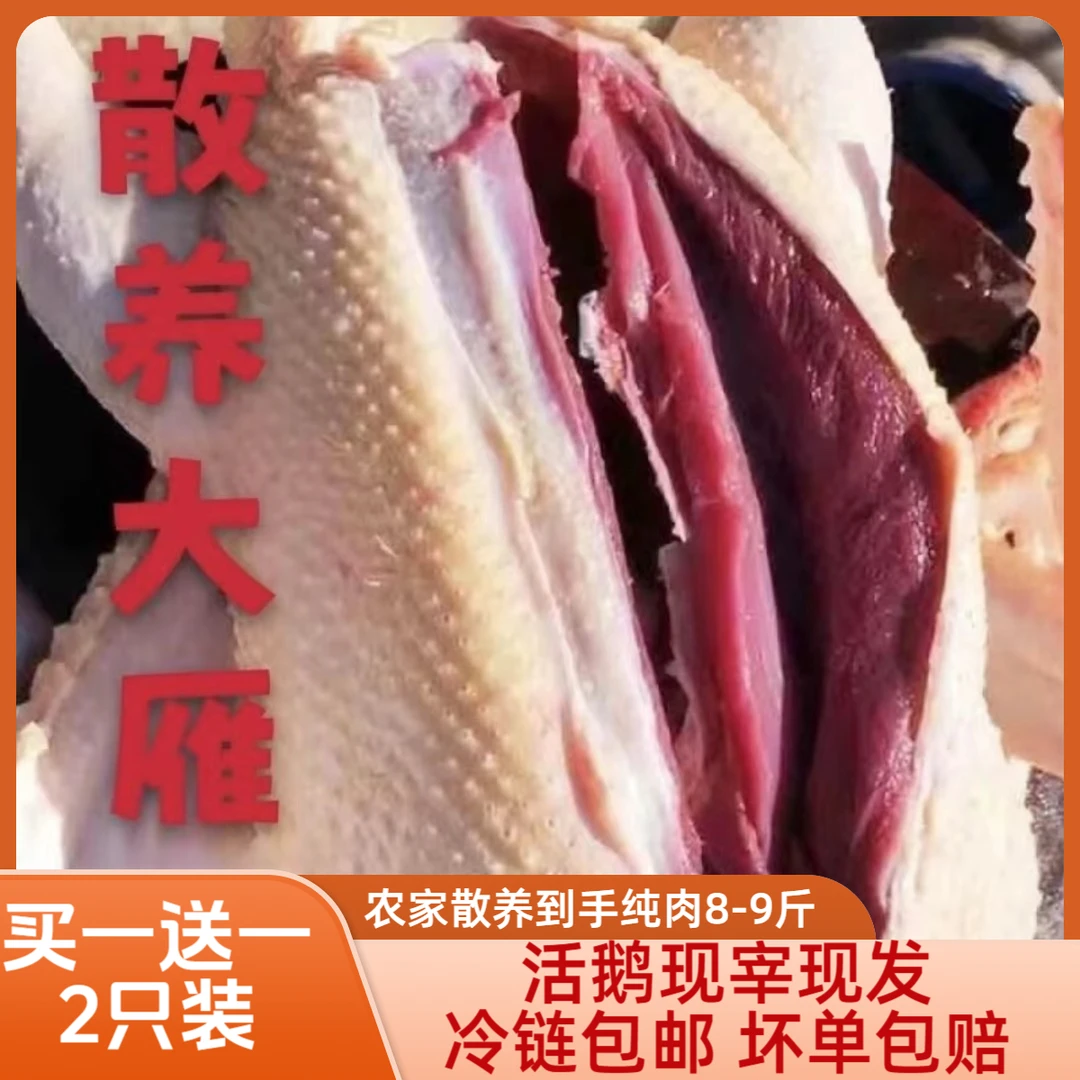 买一送一【2只12斤大鹅】散养200天带掌带翅雁鸭一只毛重6斤净重4斤