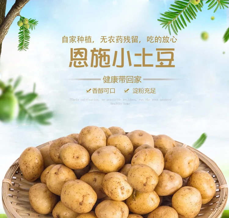 恩施小土豆2.5Kg马尔科洋芋农家自留品种新鲜饱满美味