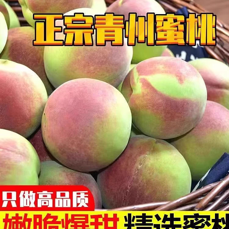 山东青州正宗五里蜜桃离核桃子新鲜脆桃毛桃甜桃青桃硬桃冬雪冬桃