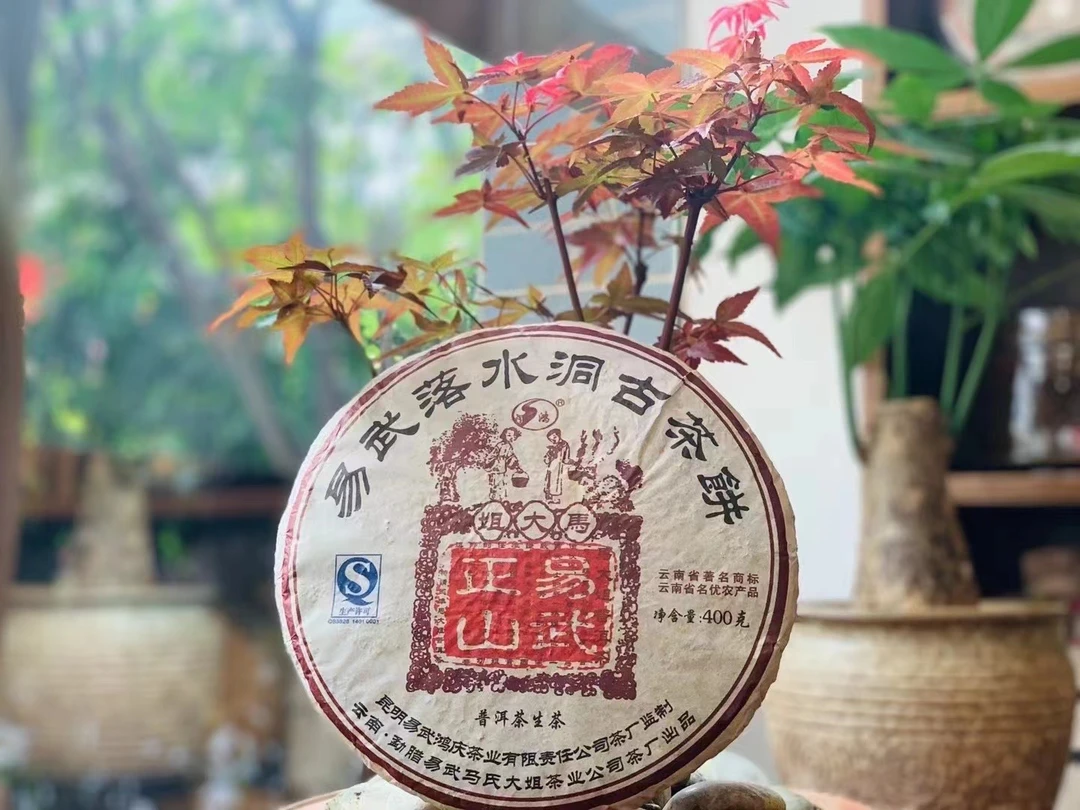 2010年落水洞古树茶50克品鉴装