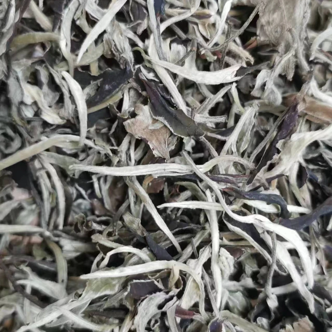2023年月光白一芽一叶白茶