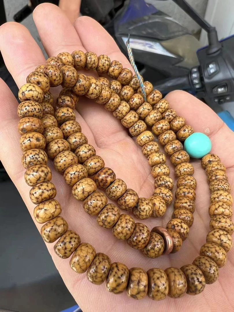 正宗尼泊尔手盘老星月