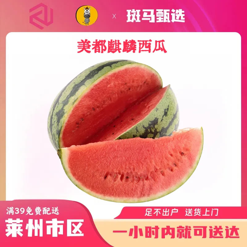 【同城配送】小蜜蜂麒麟西瓜  4.5一斤 一个一称   嘎嘎甜  嘎嘎脆 莱州市区免费配送到家