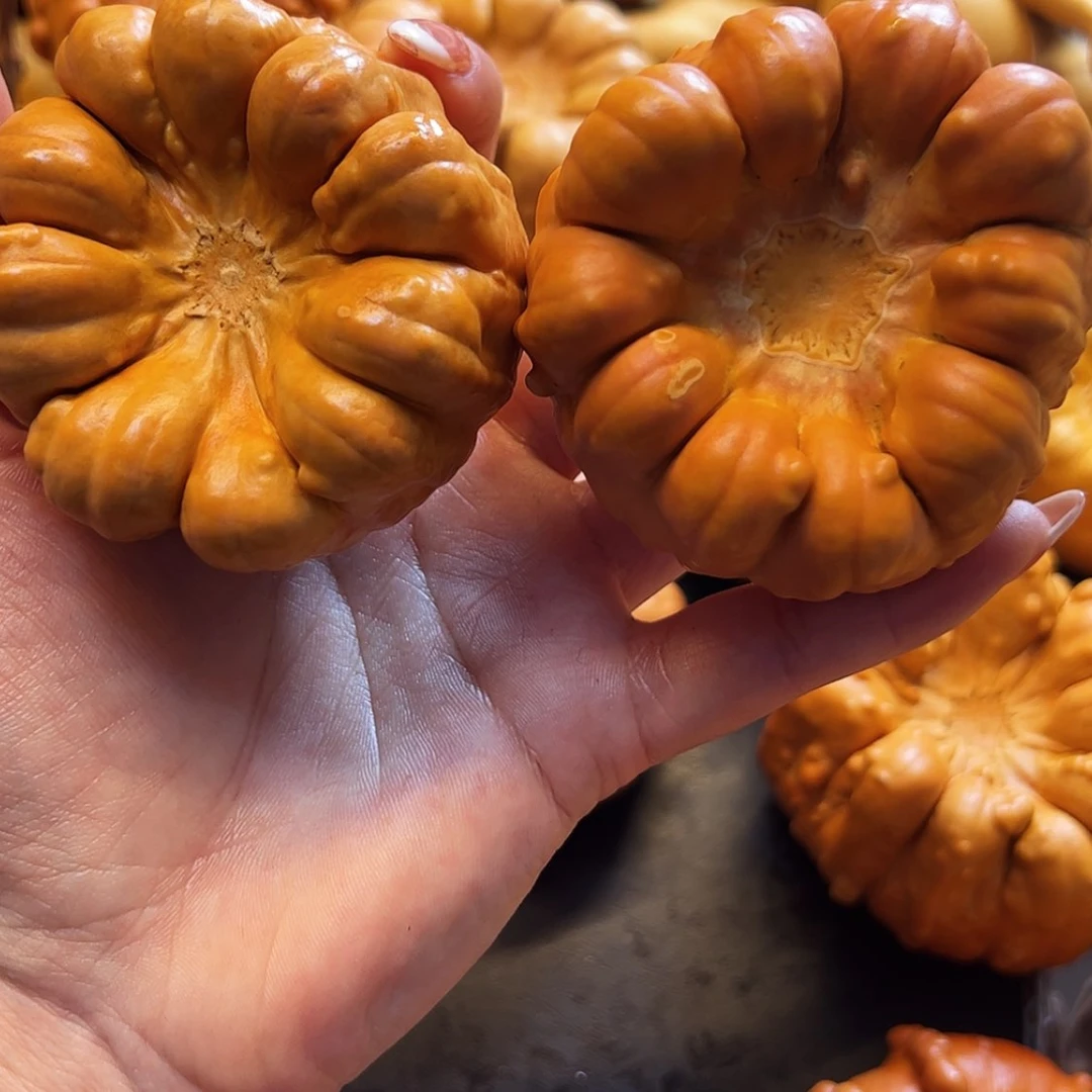 【闪购商品】天然葫芦我**刘墨西哥花瓣葫芦