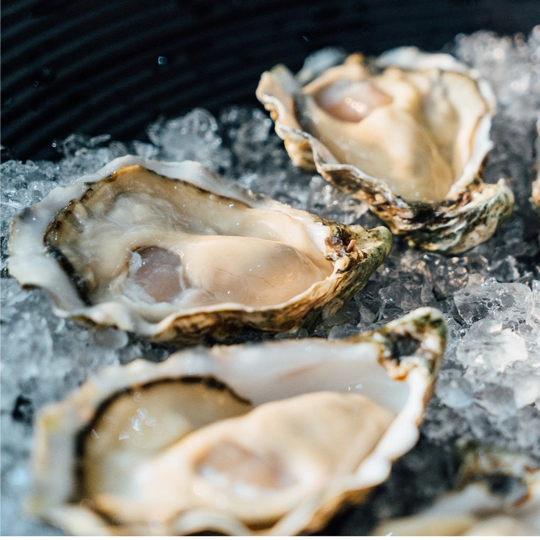 粉丝福利 下单福利 鲜活生蚝2只 精品乳山生蚝