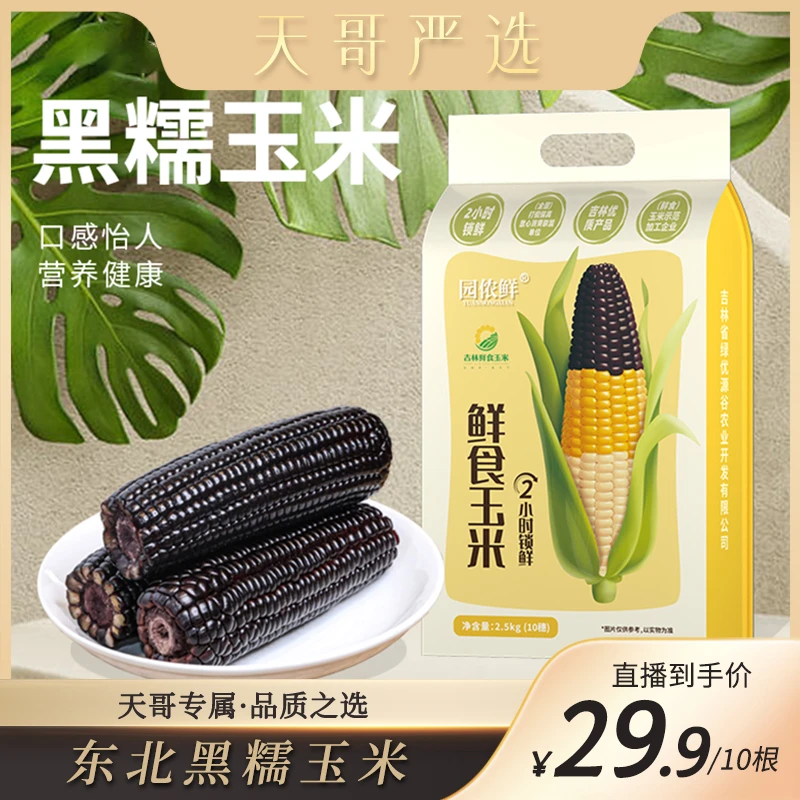 【天哥专属】园侬鲜东北鲜食黑糯玉米10穗甜糯玉米棒250g/穗真空装