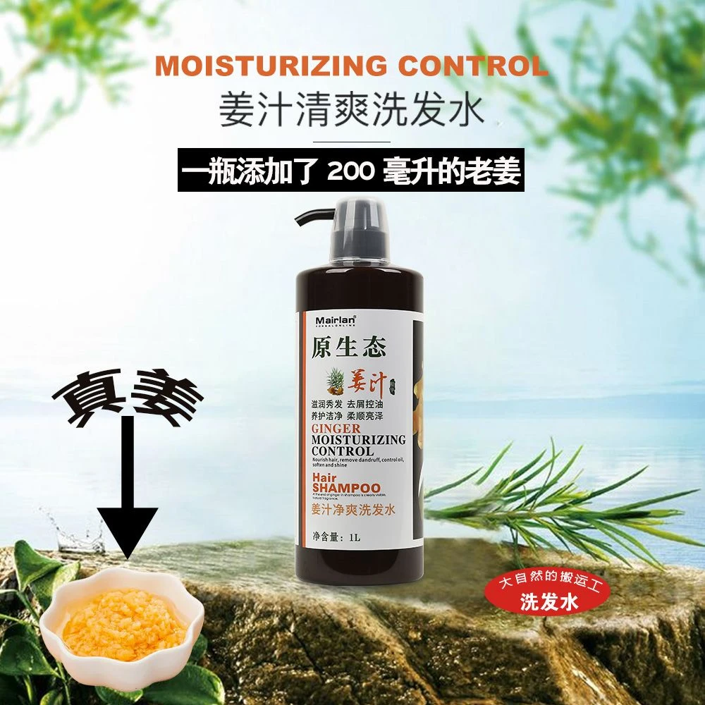 Mairlan原生态姜汁净爽控油蓬松头发稀少增发强根健发洗发水