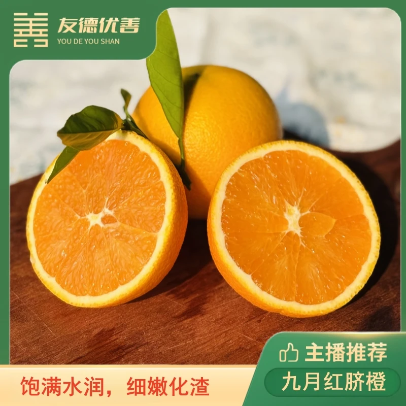 湖北九月红脐橙 5斤/新鲜采摘 果实橙黄饱满，新鲜水润，细嫩化渣