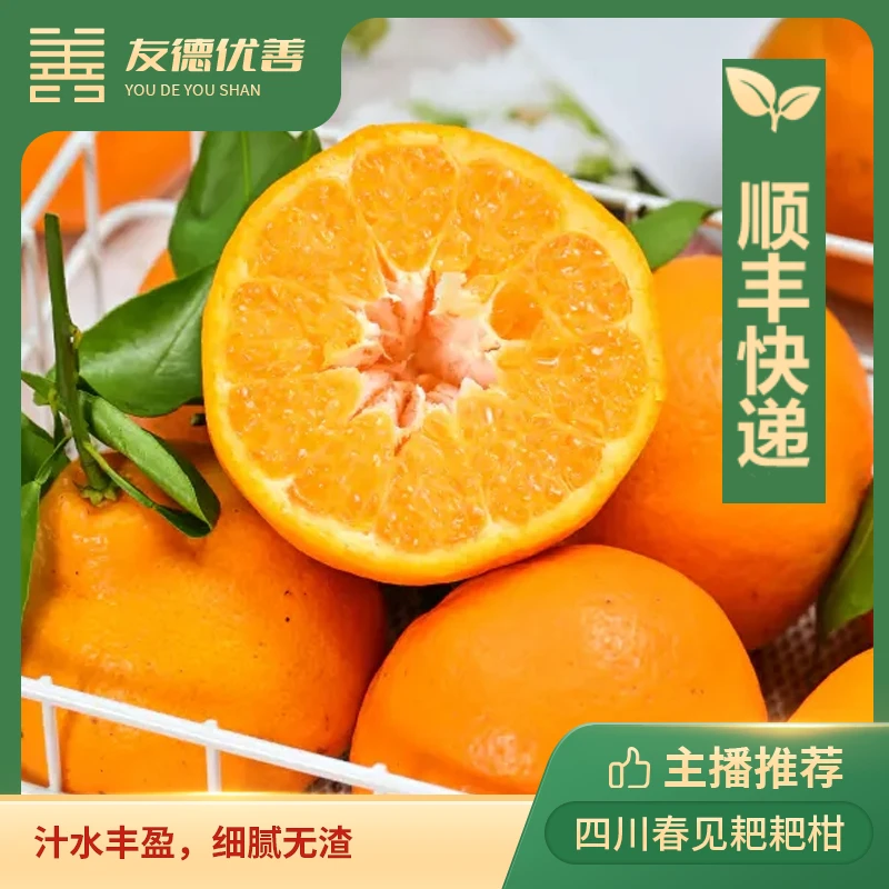 马有铁专属 四川春见耙耙柑4.5斤 汁水丰盈，细腻无渣【顺丰快递】
