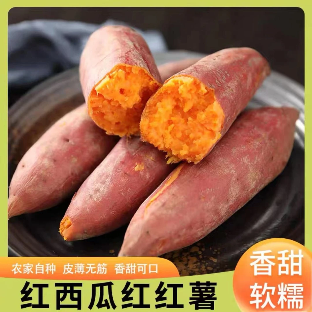 河南农家自种当季新鲜西瓜红心蜜薯现挖现发5斤