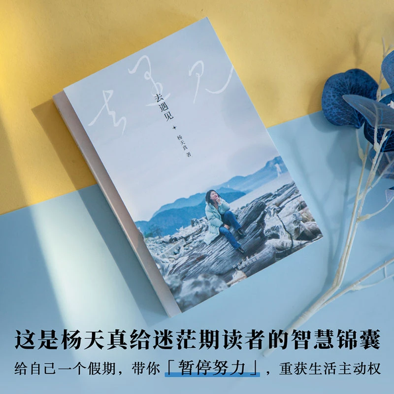 【亲签版福袋】杨天真 去遇见 去遇见辽阔世界,是成为自己的开始。