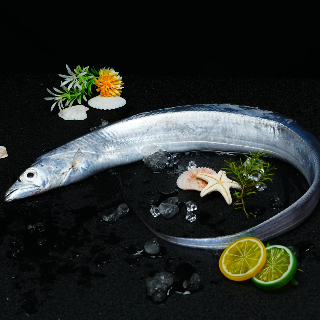 东海带鱼当日捕捞500-1000g/只