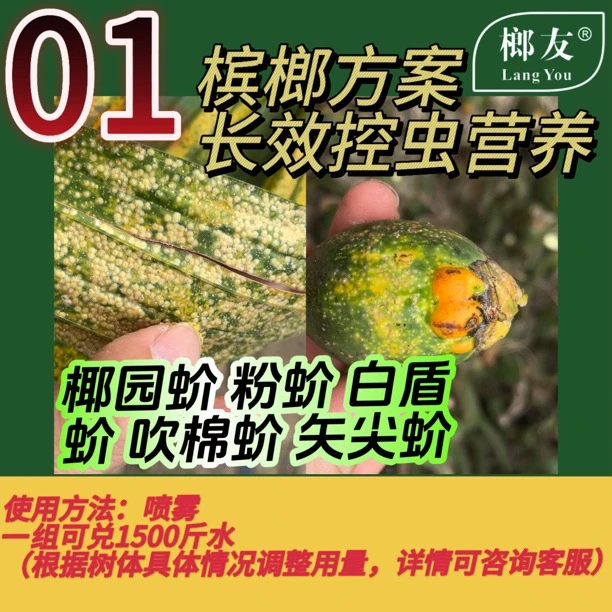 【直播专属】榔友槟榔叶面肥根据症状搭配