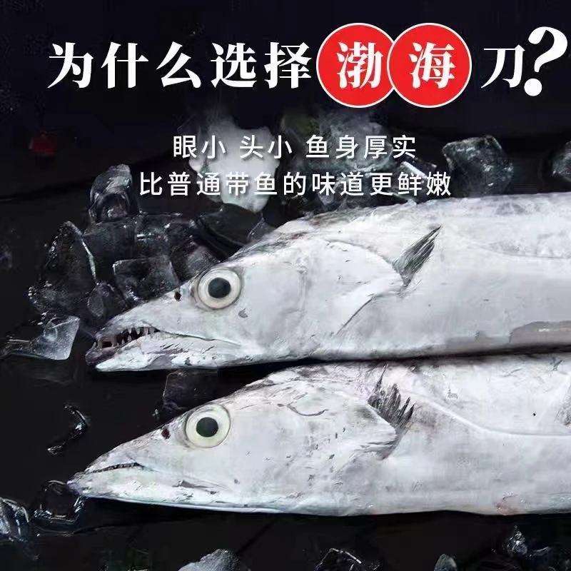 渤海湾刀鱼 2.9-3.1 斤/（速冻发货，有掉鳞和个别破腹属于正常）