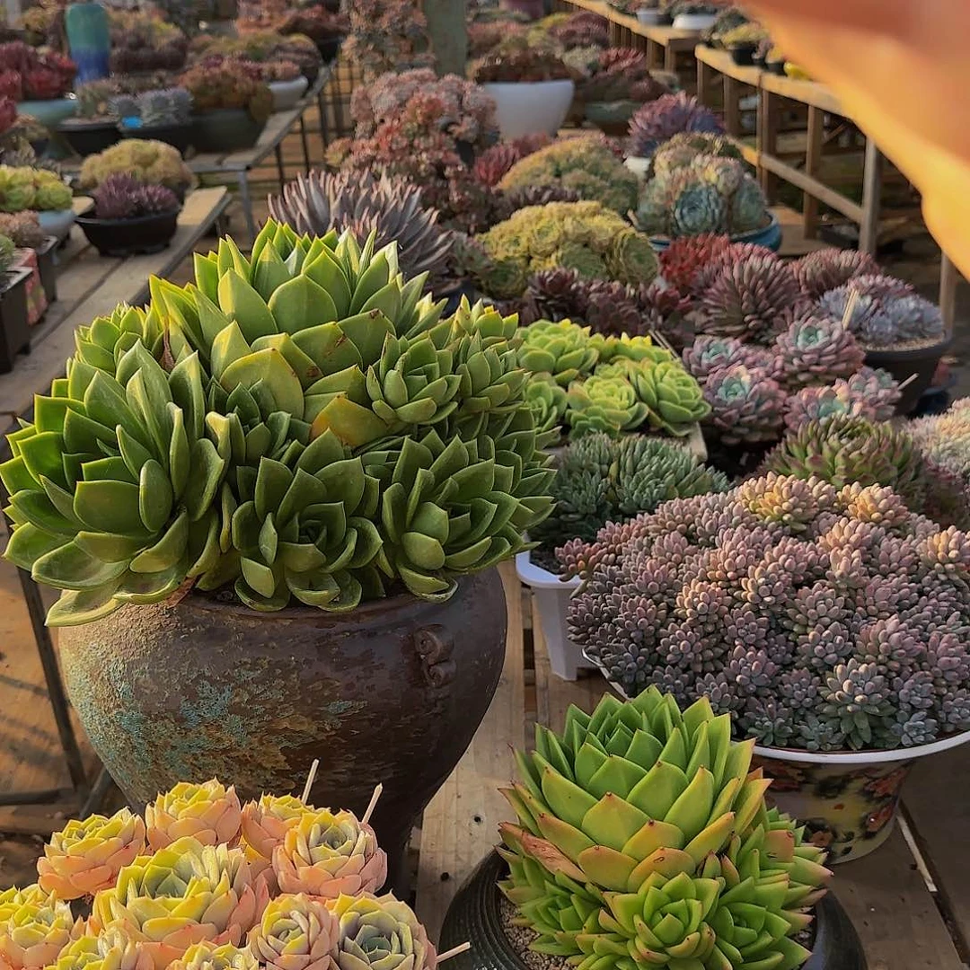 陈*他他就健健康康快快乐乐