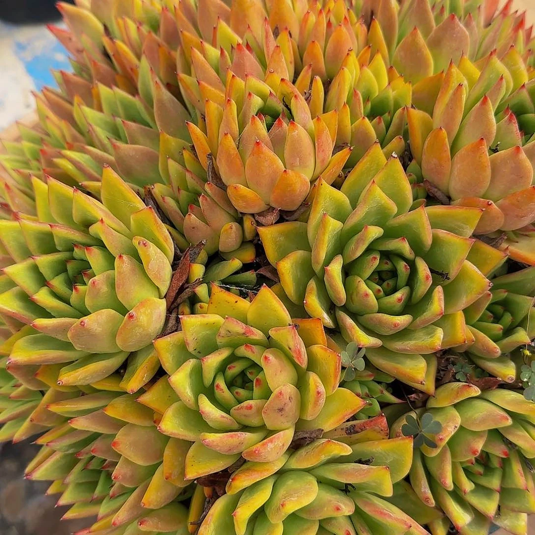 梓*哦哦哦哦哦哦哦哦哦哦