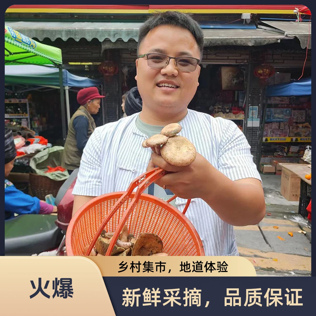 小雨代买/干货/金银花/山货农产品