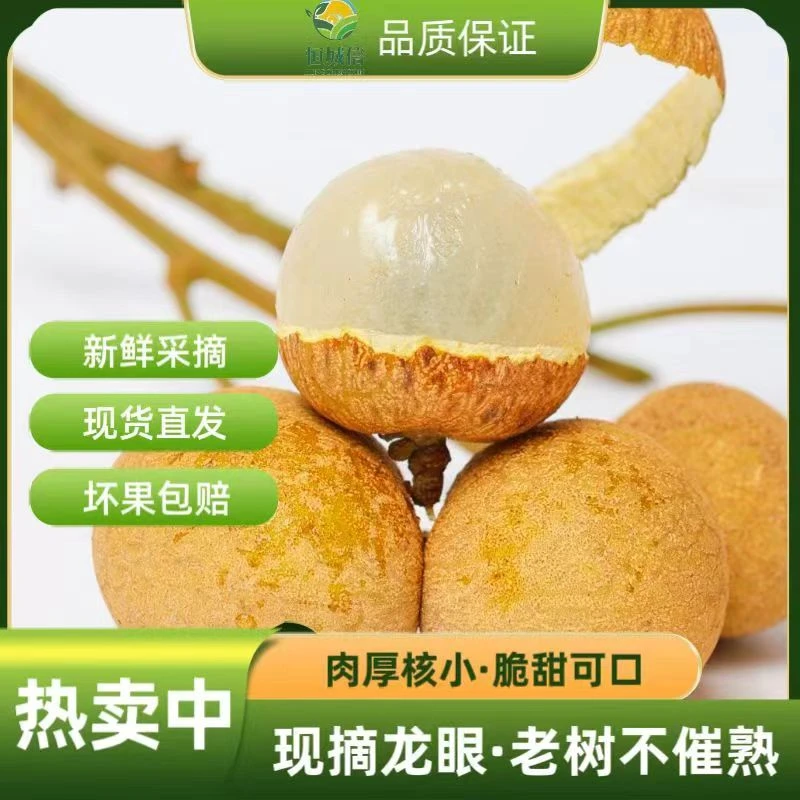 （老树储良）新鲜龙眼多汁老树大果应季水果皮薄爽脆肉厚采摘包赔