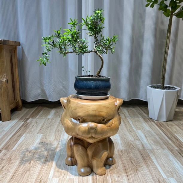 樟木凳盆景底座换鞋凳