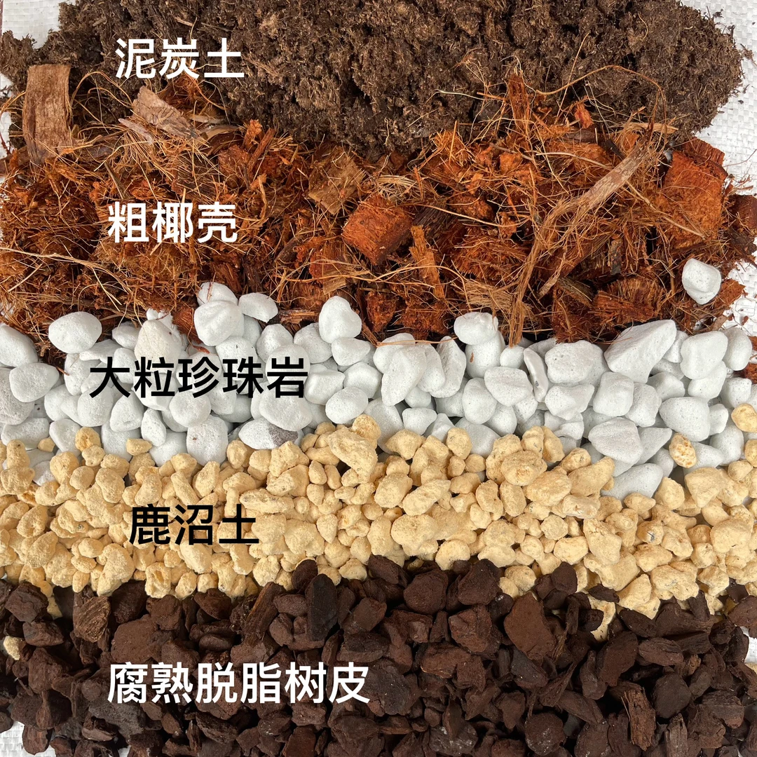 天南星科配土五合一基础版 约9.5升5斤加 龟背竹春羽花烛芋科