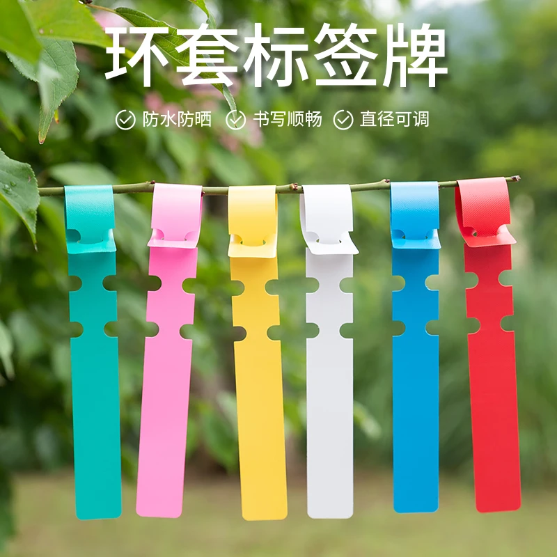 宏荣PVC防水环套植物标签苗木花卉园艺标签塑料兰花标签环扣标牌