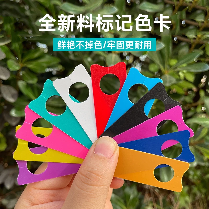 全新料葡萄记号牌西瓜授粉标记牌瓜果适用标记色卡月季园艺环扣