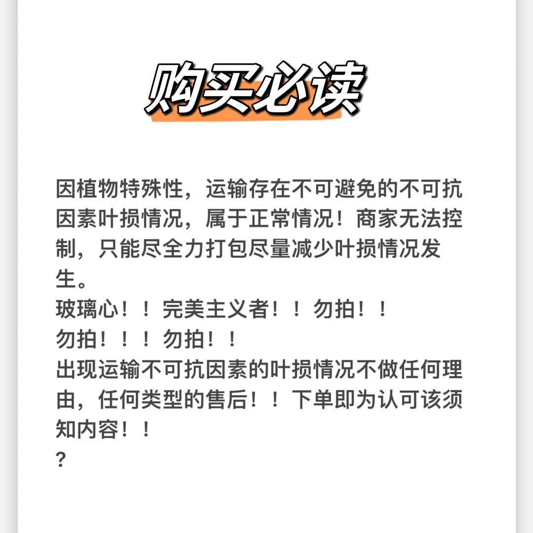 【江南植造】热带植物一物一拍[保留开箱视频，无视频不售后】