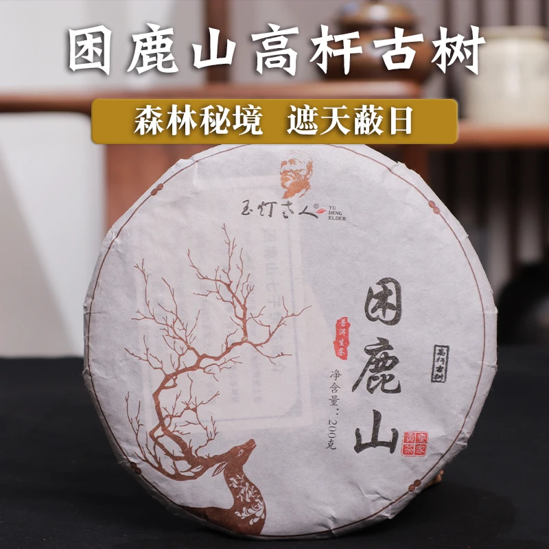 2024年宁洱困鹿山森林高杆古树茶200克/饼山野之韵