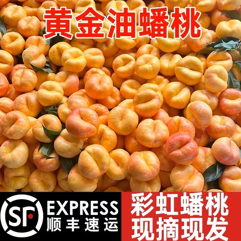 （顺丰包邮）陕西现摘彩虹油蟠桃水果新鲜应季产地直发净重4.5斤