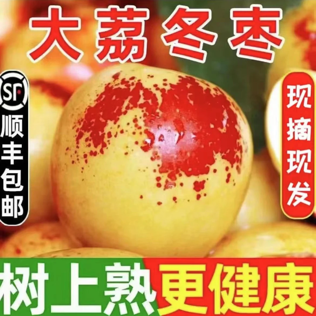 正宗陕西大荔冬枣脆甜2斤/3斤当季新鲜水果顺丰包邮现摘先发