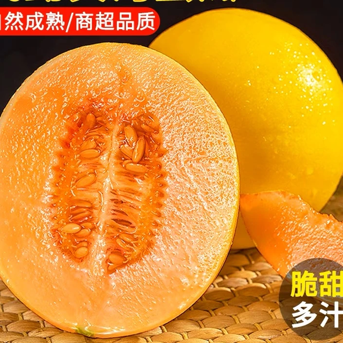 黄金蜜瓜新鲜当季包邮净重8.5-9斤产地直发生鲜香甜