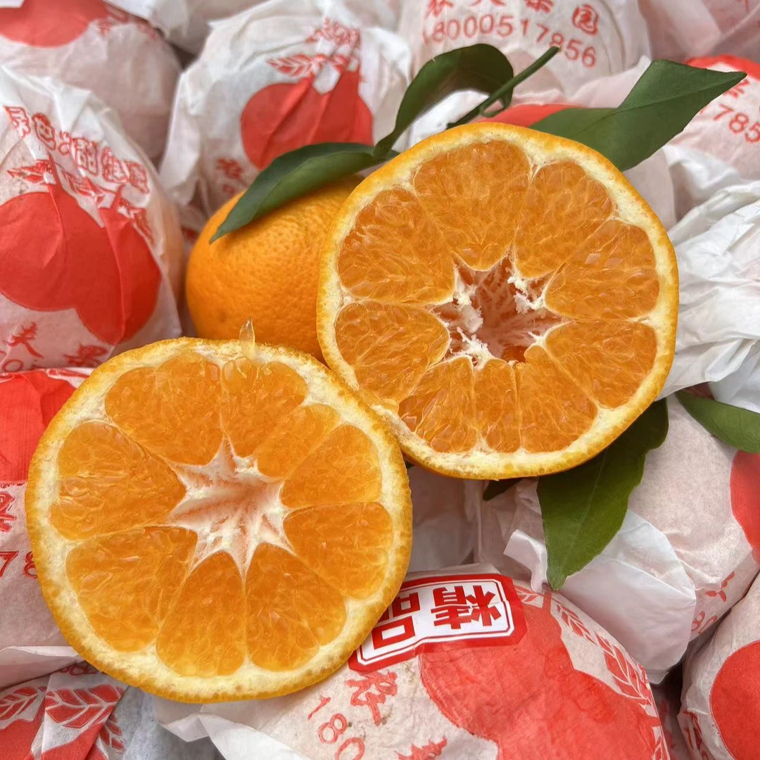 精品耙耙柑