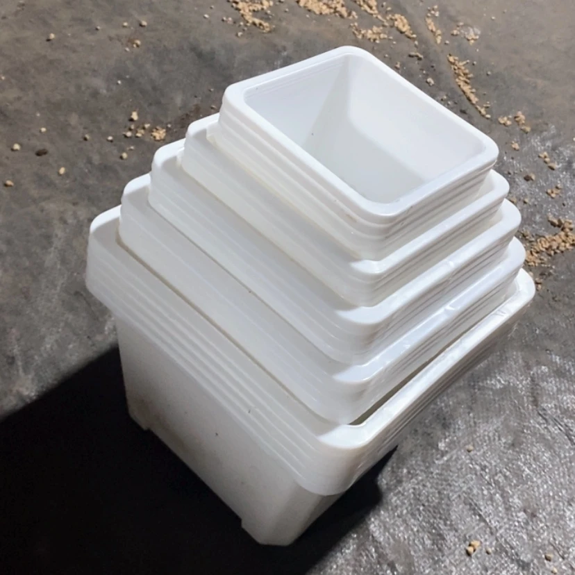 【闪购商品】白方组25个10-12-14-16-18
