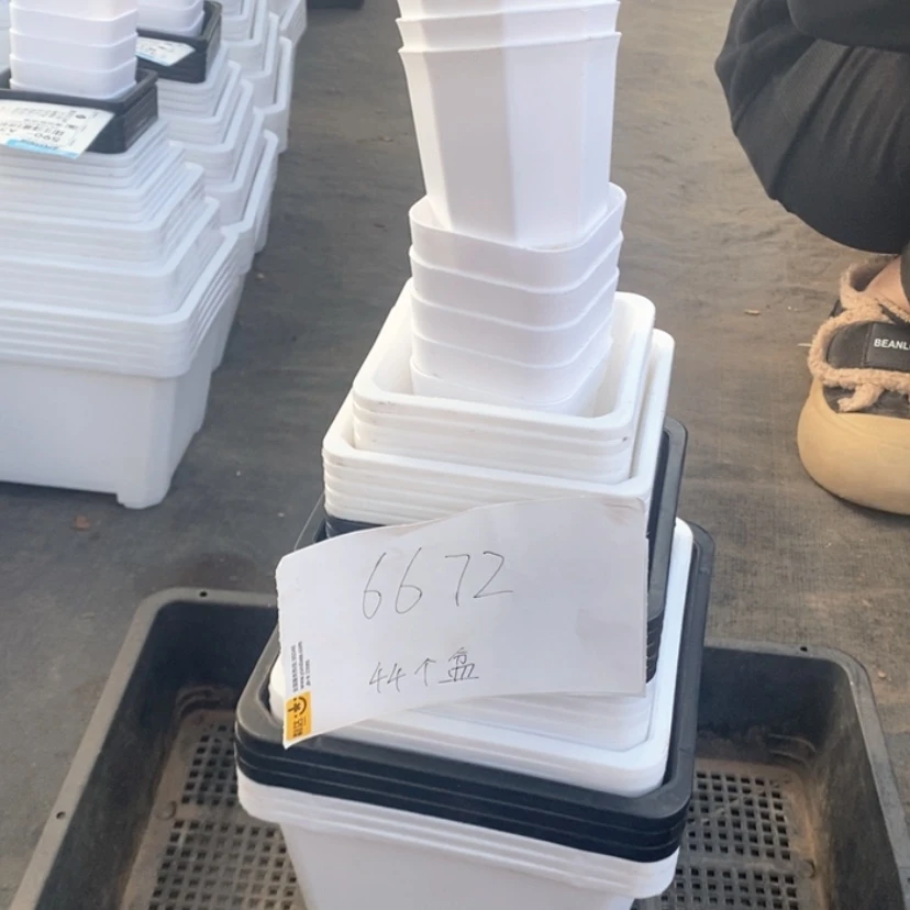 【闪购商品】爱*肉筐盆44个盆6672