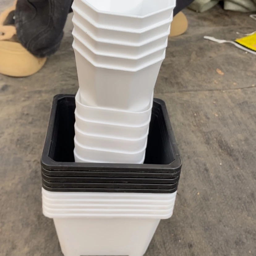 【闪购商品】福利款20个盆