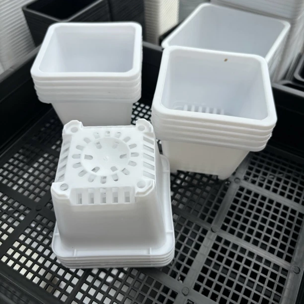 景天多肉绿植花盆100白方盆口9公分高7公分多肉仙人球专用花盆