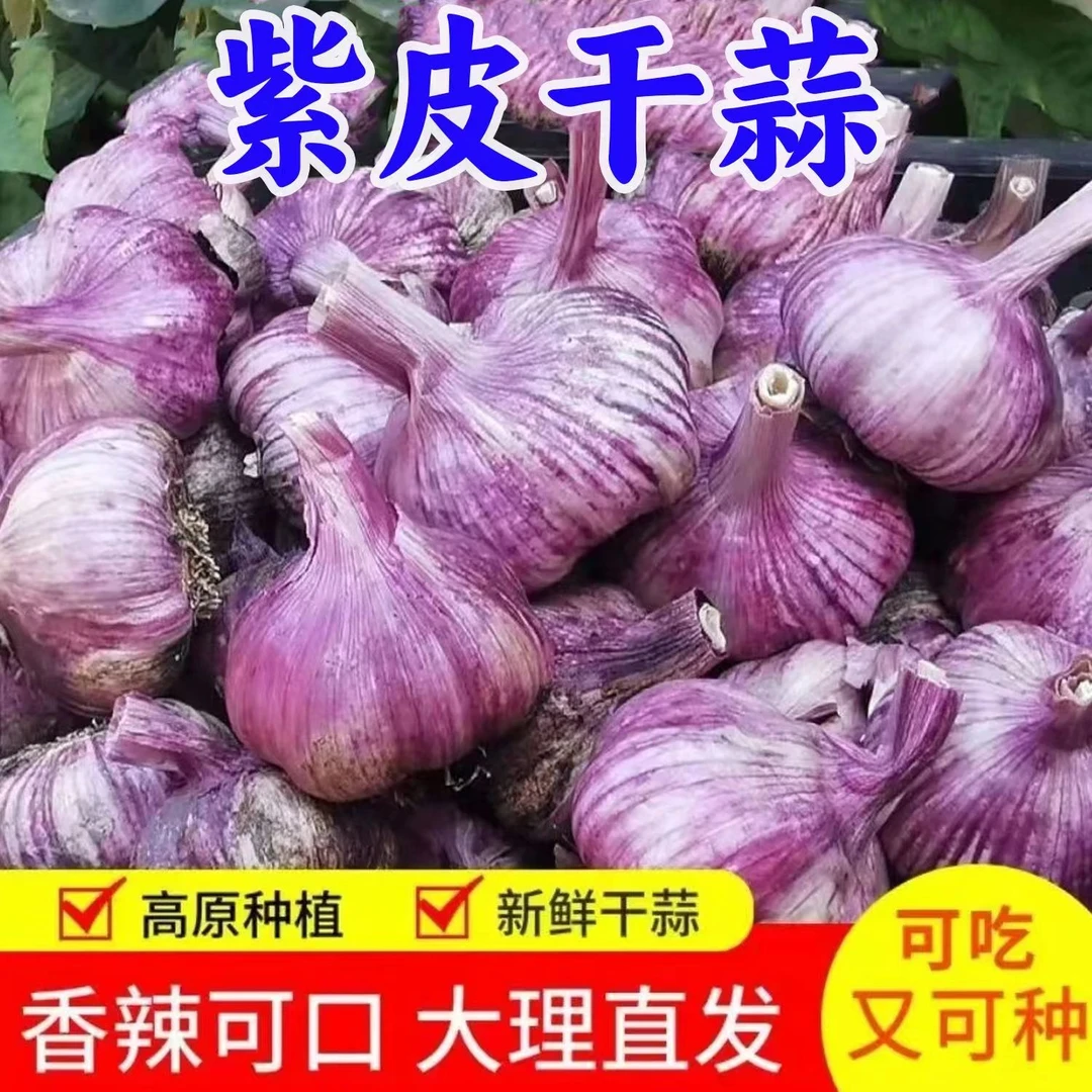 【2025新干蒜】云南紫皮蒜 蒜头 干蒜 大蒜 蒜种 蒜苗 蒜种1-9斤