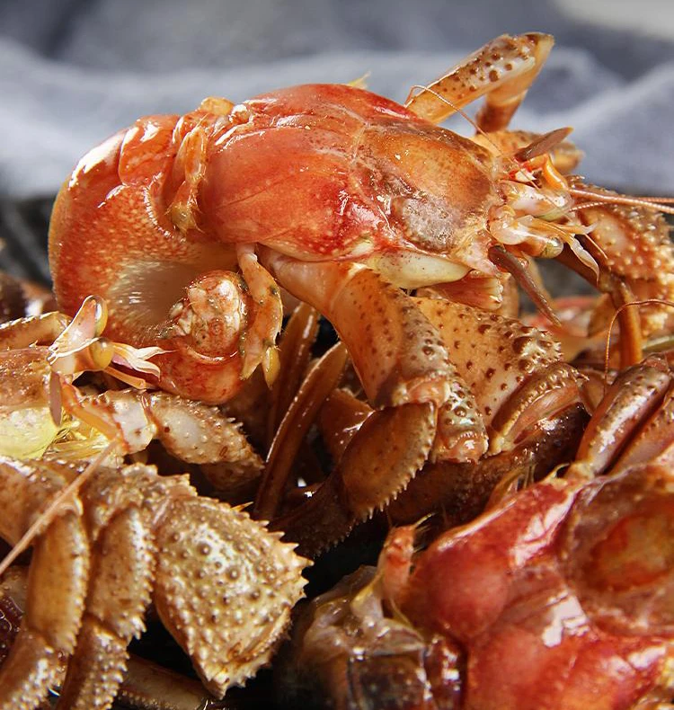 【新鲜带壳】带壳虾怪大海怪鲜美寄居蟹食用优质新鲜海捕【顺丰包邮】