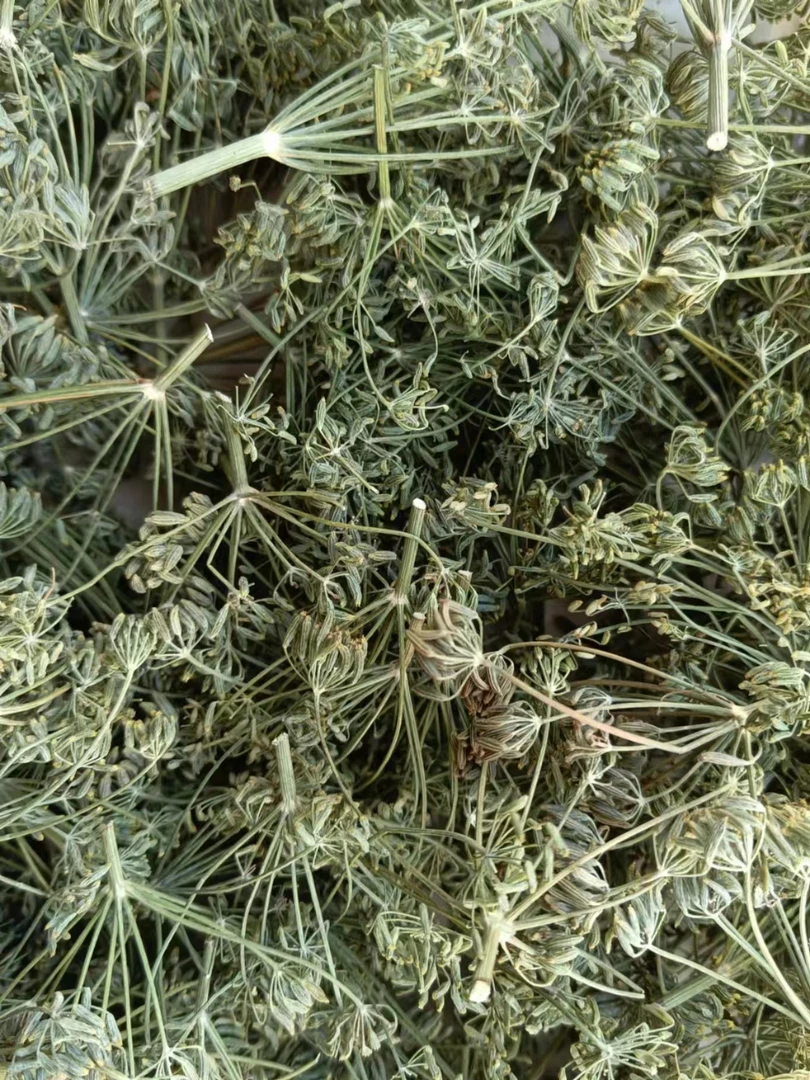 高寿安康小茴香茶，暖胃驱寒，口味香甜，每瓶净含量250克。