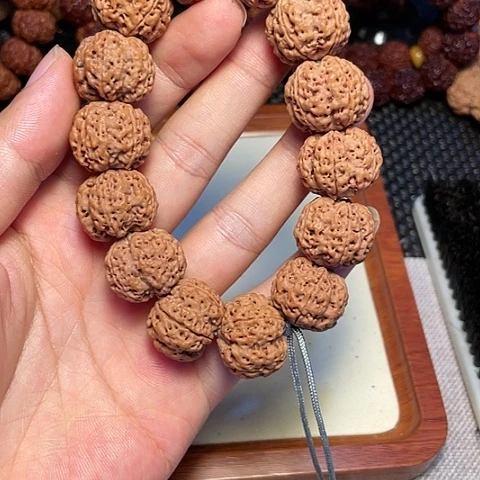 金刚菩提吊坠伱*尼泊尔大金刚菩提