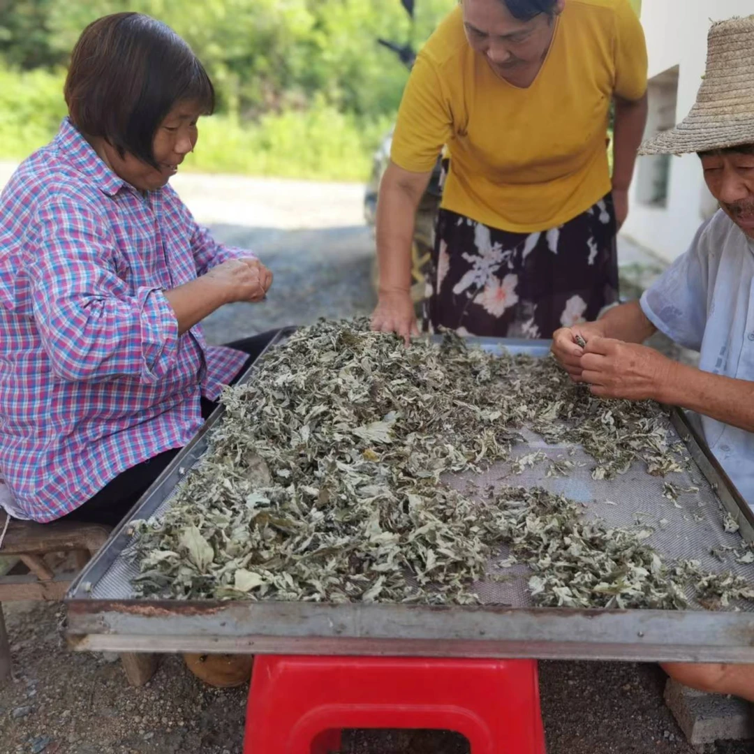 50克艾绒艾熏艾条艾柱