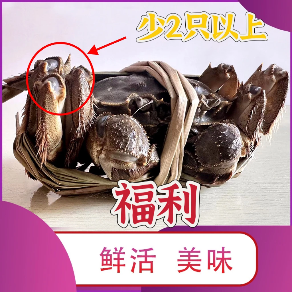 【自吃公蟹】公蟹3两以上5//6/7只2斤装活蟹现发